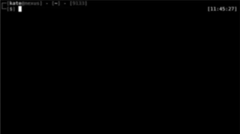 typing various commands into a terminal